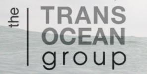 Trans Ocean Area Rugs