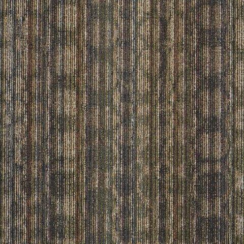 Shaw Philadelphia Carpet Tile Gung Ho Tile J0142