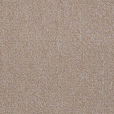 Shaw Philadelphia Carpet Winchester 49100 Berber Beige