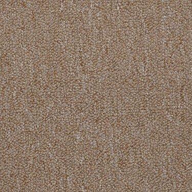 Shaw Philadelphia Carpet Winchester 49205 Gold Rush