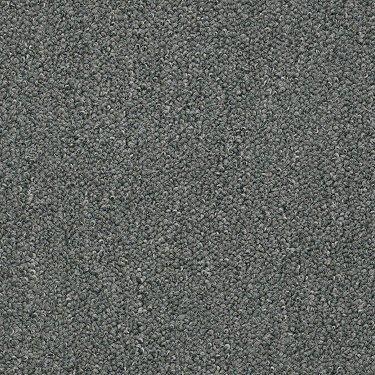 Shaw Philadelphia Carpet Winchester 49340 Pine Needles