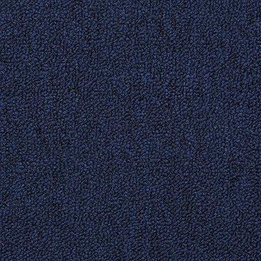 Shaw Philadelphia Carpet Winchester 49404 Navy Seal