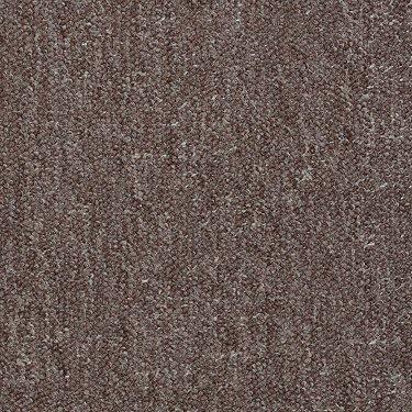 Shaw Philadelphia Carpet Winchester 49720 Cracker Barrel
